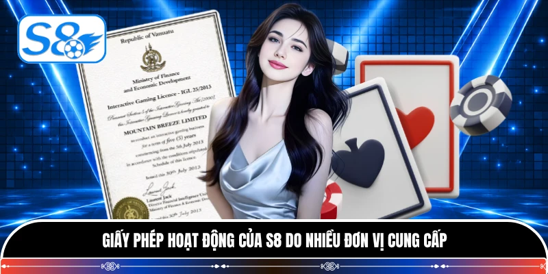 Giấy phép hoạt động của S8 do nhiều đơn vị cung cấp